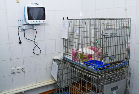 slideshow_41